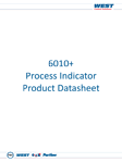 6010+ Process Indicator Datasheet